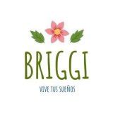 : r/Briggi